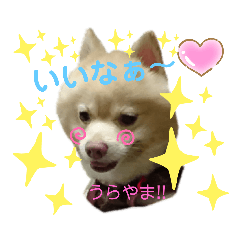 [LINEスタンプ] CHESCHAN
