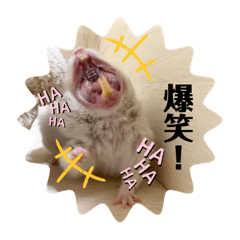 [LINEスタンプ] 皐月スタンプ。②