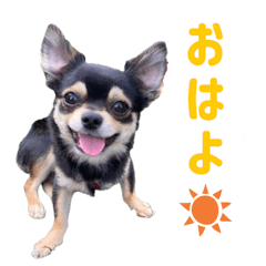 [LINEスタンプ] モイスタンプ（日常編）