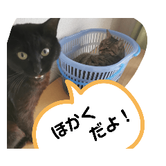 [LINEスタンプ] Moto猫スタンプ2