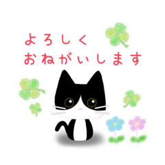 [LINEスタンプ] ハチワレ猫のふわかわスタンプ