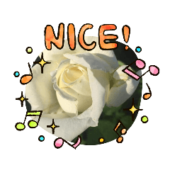 [LINEスタンプ] ようこオリジナル①
