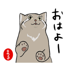 [LINEスタンプ] マヌルネコのまるちゃん修正版