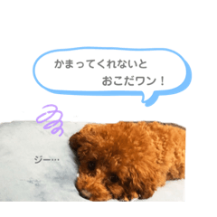 [LINEスタンプ] kisapuu