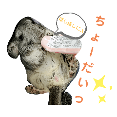 [LINEスタンプ] うちのチンチラさん③