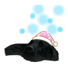 [LINEスタンプ] いつだってだんて 2番ていくつぅー