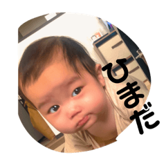 [LINEスタンプ] うちのせなくん