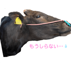 [LINEスタンプ] ウシのエミ