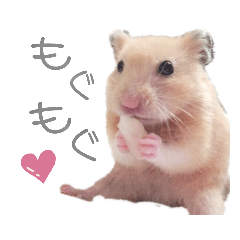 [LINEスタンプ] キンクマハムスターのキーマさん