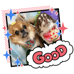 [LINEスタンプ] Harley＆Momo♡
