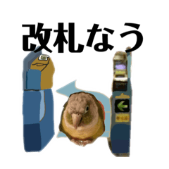 [LINEスタンプ] 半蔵門線を利用される貴方へ、ウロコインコ