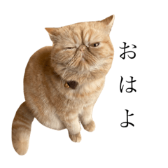 [LINEスタンプ] エキゾチックのうに♂