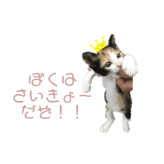 [LINEスタンプ] しょちょさんですか！？ 第2弾