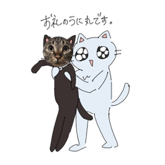 [LINEスタンプ] ねこぴとペットのうに丸。
