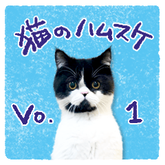 [LINEスタンプ] 猫のハムスケ_Vo.1
