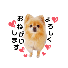 [LINEスタンプ] ふぅたんスタンプ2021