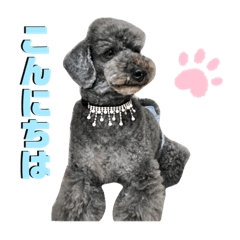 [LINEスタンプ] ダンドゥビ