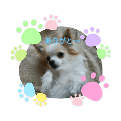 [LINEスタンプ] 癒やしのかわいさメッセージスタンプ