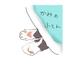 [LINEスタンプ] スタンプがかみちゃん