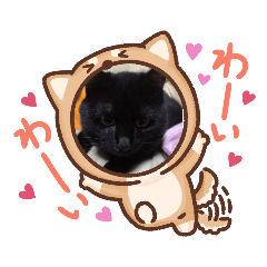[LINEスタンプ] ケンシロウ猫
