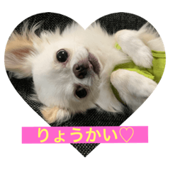 [LINEスタンプ] Maronだよ