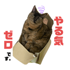 [LINEスタンプ] ミュウです。