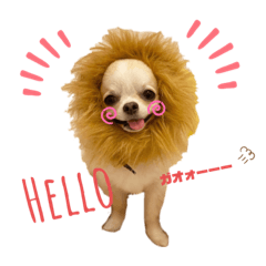 [LINEスタンプ] ハイパー♡プティ②