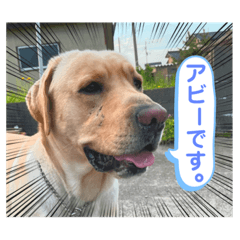 [LINEスタンプ] アビーくんです。