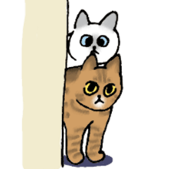 [LINEスタンプ] 猫なのに -シャムとキジトラ-