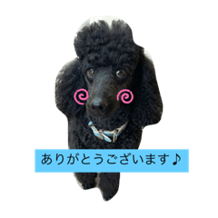 [LINEスタンプ] 豚とペリカン