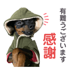 [LINEスタンプ] ミニピン犬スタンプ①