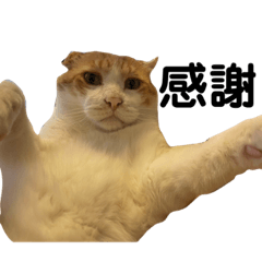 [LINEスタンプ] ねこのベビー2