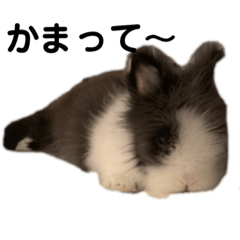 [LINEスタンプ] まんじろうのまんじろう