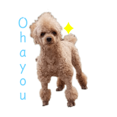 [LINEスタンプ] チャンリン(ばあばの)