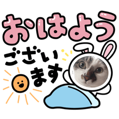 [LINEスタンプ] TOMOちゃん家のゆかいな仲間たち