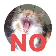 [LINEスタンプ] misanbaribari