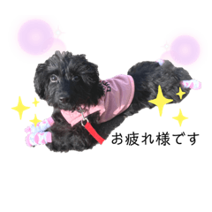 [LINEスタンプ] ダップー犬、ララァ①(再販)