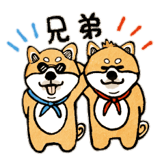 [LINEスタンプ] 柴犬ブラザーズのスタンプ