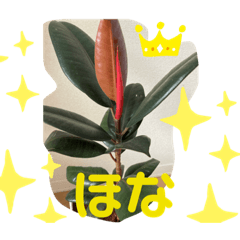 [LINEスタンプ] ゴムの木