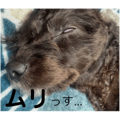 [LINEスタンプ] 白目GIRL♥️sunny♥️