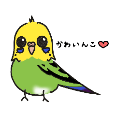 [LINEスタンプ] インコのシーザーちゃん