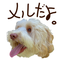 [LINEスタンプ] ドゥードルのメル