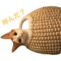 [LINEスタンプ] #名前はレモンパイ vol.1