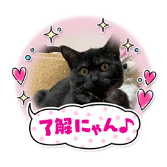 [LINEスタンプ] リューク＆ルナ