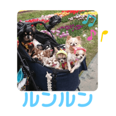 [LINEスタンプ] GOCHIHUA