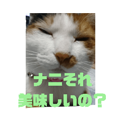 [LINEスタンプ] のんびりしましょ～