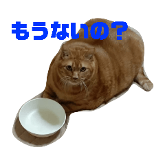 [LINEスタンプ] おいしい？スタンプ