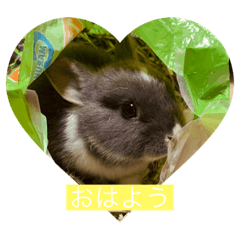 [LINEスタンプ] みにうさぎのぱーる