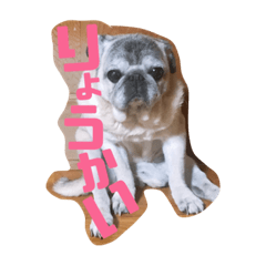 [LINEスタンプ] うちのペット2.