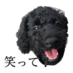 [LINEスタンプ] 俺俺男 part2